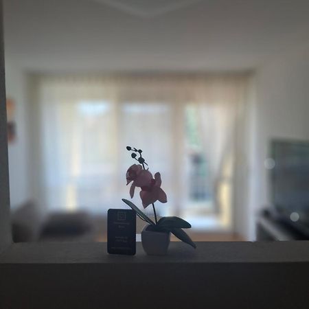 Ferienwohnung Shirin Rust Dış mekan fotoğraf