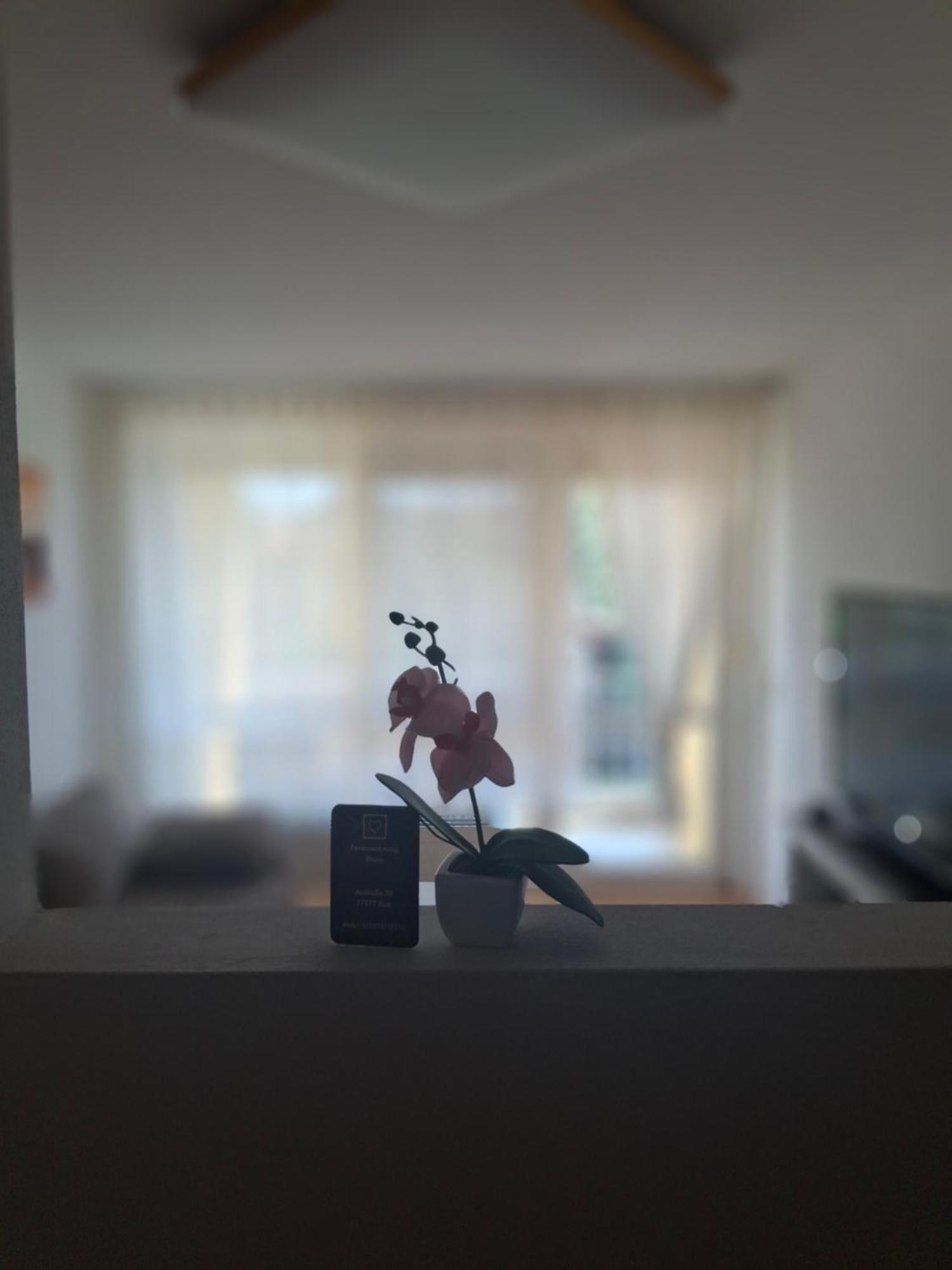 Ferienwohnung Shirin Rust Dış mekan fotoğraf